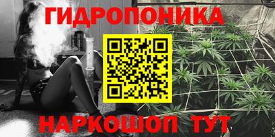 амф Кимры