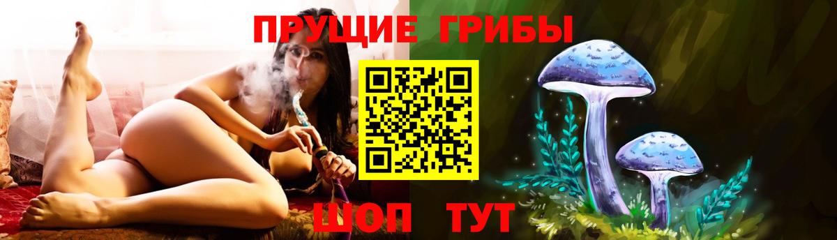 Коммунар  Псилоцибиновые грибы ЛСД  Вход с VPN 